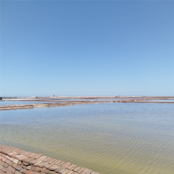 small4_17155812523742155